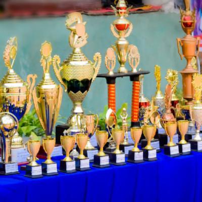 Bb33f01d 5fa9 497d A76a Be0162612d43