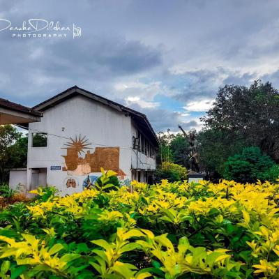 පාසල් භූමිය