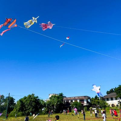 Picsart 24 10 01 15 41 49 298 Copy